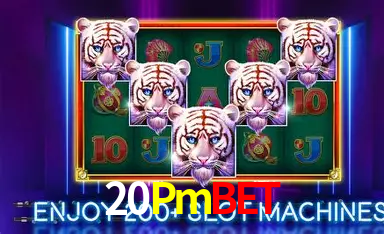 20Pmbet: A Experiência de Casino com Jogos de Mesa ao Vivo